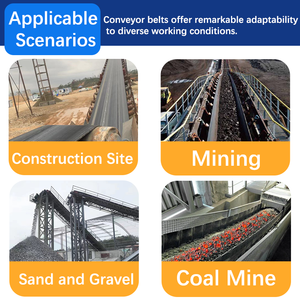 Экономичные регулируемые ленточные конвейеры из нержавеющей стали и резины для цемента - Product Image 2