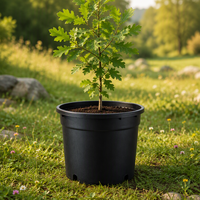 Pots de jardin suspendus au sol en PP de haute qualité, style Japandi, avec trou de drainage, légers, durables, modernes, pour l'extérieur, auto-arrosants