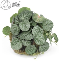 Plante artificielle de Begonia Rex suspendue avec des feuilles argentées variées pour la décoration murale bohème et les paniers suspendus