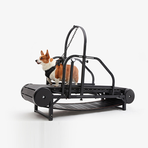 Cinta de correr para perros grandes, máquina para correr <span class=keywords><strong>canina</strong></span> para interiores y exteriores, equipo de ejercicio para perros, máquina para caminar - Product Image 2
