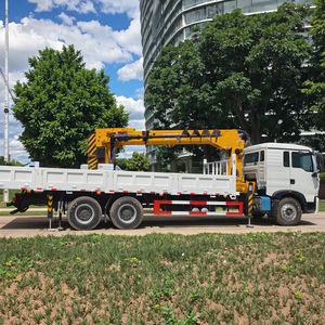 חזק אמין 15 טון rd buckle בום עגורן איכות משאית מובטחת הרמה פרויקטים Kato הידראולי צילינדר - Product Image 3