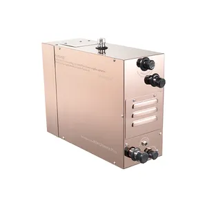 Générateur électrique 220 V/380 V Monophasé/3 Phases générateur de vapeur de sauna pour la Vapeur Humide