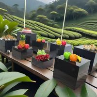 Ensemble de 8 Présentoirs Cubes Rehausseurs de Buffet Carrés en Acrylique Blanc pour Aliments et Desserts