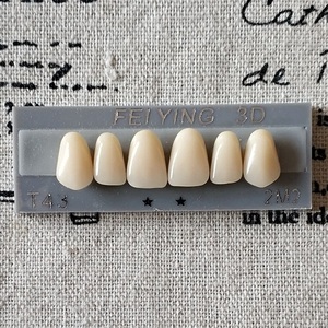 Resina Acrílica Dental de Alta Calidad para Dientes Superiores e Inferiores, Anteriores y Posteriores - Product Image 6