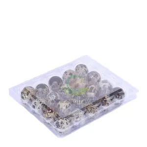 고품질 20 세포 플라스틱 애완 동물 메추라기 계란 쟁반 도매 처분할 수 있는 투명한 계란 상자 포장