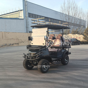 Carrito de Golf Eléctrico en Oferta, Diseño de Marco Antivuelco, Vehículo de Golf para Resort, Club, Área Residencial, Se Aceptan Colores y Logotipos Personalizados - Product Image 4