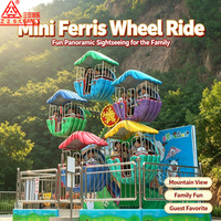 Mini-fergie wheel professionnel pour 10/12/20/24 personnes, idéal pour parcs d'attractions et aires de jeux pour enfants, à vendre