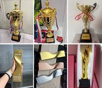 Trophée en métal, plusieurs designs, logo personnalisé OEM, toutes tailles, formes et textes, vente en gros