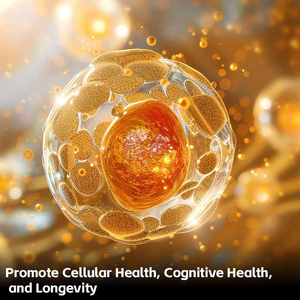 Capsules d'Ergothionéine Végétale OEM/ODM Haute Pureté pour Hommes et Femmes Adultes – Soutien <span class=keywords><strong>Anti</strong></span>-Âge et Défense Cellulaire au Niveau du DNA - Product Image 3