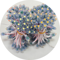 LED-Pixel-Licht Klebstoff-Füllung WS2811 Vollfarbig 12V IP65 Wasserdicht RGB Weihnachtsbaum Dekorative Beleuchtung Bühnenbeleuchtung