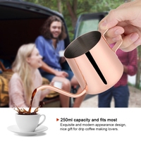 Mini brassage 250ml 350ml 600ml poignée en acier inoxydable bec de thé cafetière goutte à goutte sur col de cygne bouilloire à café