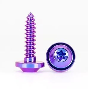 <span class=keywords><strong>GR5</strong></span>カラフルチタンTorxヘッドセルフタッピングネジ - Product Image 1
