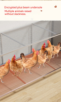 Offre Spéciale : Cage Classique à Niveaux pour Animaux de Compagnie, Cage de Ferme, Poulailler avec Emballage en Boîte et Plateau à Œufs