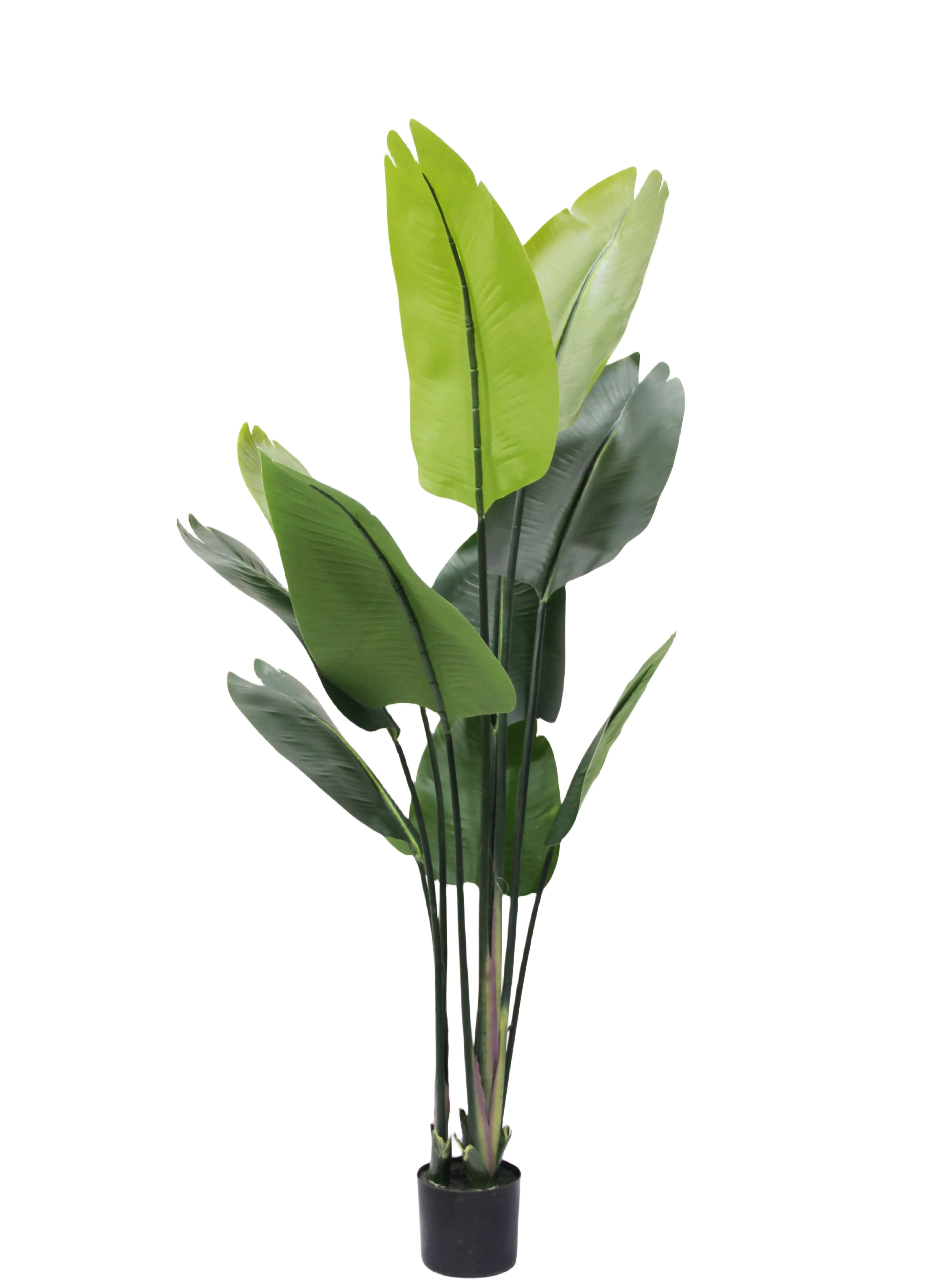 इनडोर सजावट के लिए बड़े पत्ते वाला कृत्रिम मॉन्स्टेरा पौधा, अद्वितीय डिजाइन वाला बोनसाई कछुआ समर्थित पॉटेड फूल