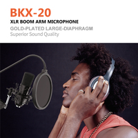 Équipement de studio OEM pour l'enregistrement de musique professionnelle Production musicale Microphone suspendu pour salle KTV filaire en métal noir
