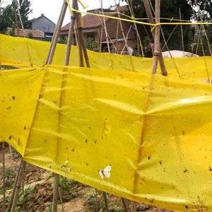 Rollo de rollo de <span class=keywords><strong>cinta</strong></span> adhesiva amarilla para invernadero, rollo de pegamento resistente al agua, tamaño personalizado, para insectos y moscas - Product Image 1