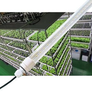 Lampes LED T8 à spectre complet dimmables pour plantes, tubes lumineux pour culture hydroponique verticale - Product Image 4