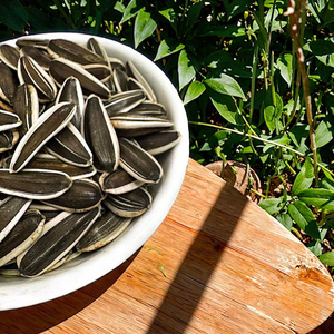 Sun Kissed Dried Sunflower Seeds Inner Mongolia Best Agricultural Areas Natural Taste Abundant Nutrition Crop 2025 25kg PP Bags