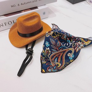 Chapeau de cowboy western pour animaux de compagnie, ensemble collier et bandana |   Accessoire de déguisement amusant pour chat et chien, idéal pour Halloween et Noël - Product Image 2