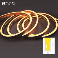 Bande LED néon haute performance 1020 RGBW, longueur personnalisable pour projets de décoration multifonctionnels et complexes d'expositions