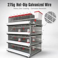 Cage d'élevage automatique de type H à double moteur avec nettoyage du fumier, 3/4 niveaux, pour 48-160 poussins, pour la Tanzanie