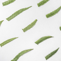 INTODIY 12 buah/pak 5-8 Cm daun pakis bunga kering timbul untuk pembatas buku Resin stiker daun asli bahan pengisi
