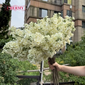 DC179 Hortensia Artificial de Seda Blanca Crema al por Mayor, Tallo Largo, Forma de Cono, para Decoración Floral de Bodas - Product Image 5