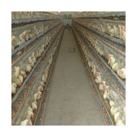 Ferme de volaille rwr, équipement de type h, couche de poulet, œuf pour bébé, cages en fer