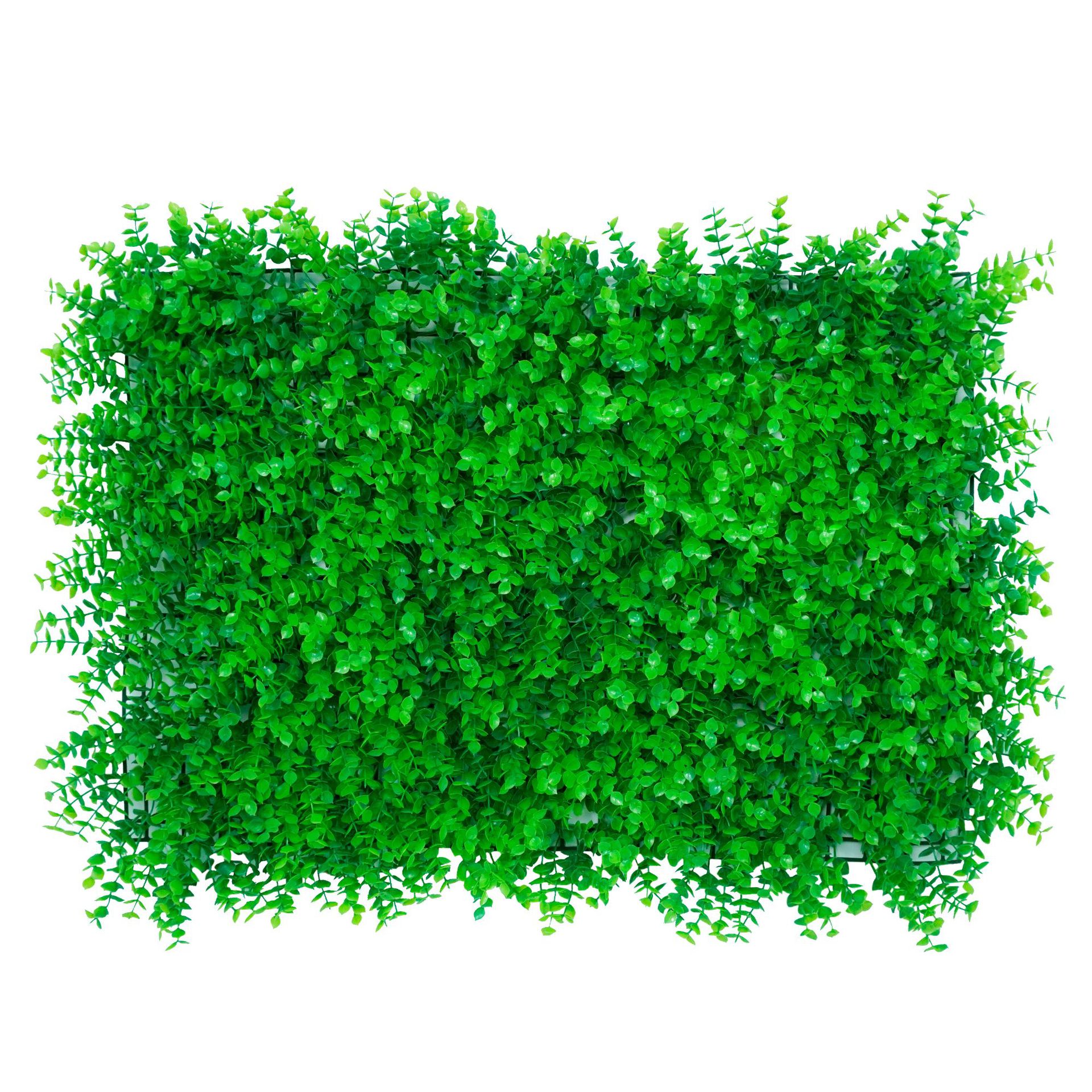 Eucalyptus (Encrypted Version) 308