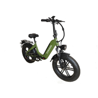 2025 acheter rapide vélo électrique montagne Fatbike gros pneu Ebike US pas cher 20 pouces en acier Logo personnalisé batterie au Lithium écran LCD