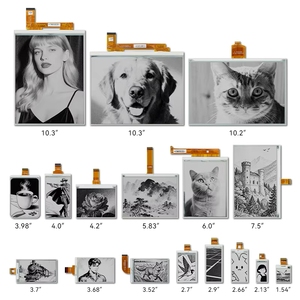 Hipoink E-Paper/E-Ink Display Fabrikant - Meerdere Formaten (1.27-31.2 inch) SPI/Parallelle Interface Zwart & Wit - Product Image 1