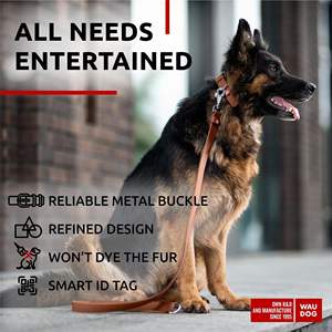 DB Collar de lujo para perros grandes, medianos y pequeños, ajustable, cuello de 12-15 pulgadas, PU duradero con anillo en D, hebilla de larga duración de 4/5" - Product Image 4