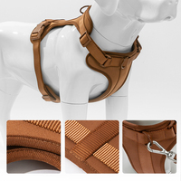 ROKI RQ-C26009 - Correa de Lujo para Perro con Logotipo Personalizado, Cómoda, Ajustable, Duradera, de Poliéster, con Patrón Geométrico