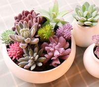 Vente en gros de plantes succulentes Assortiment de mini cactus décoratifs Arrangement suspendu intérieur extérieur Plantes artificielles Succulentes à vendre