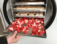Qd Hot Selling Vriesdrogen Lyofilisator Machine Industriële Groenten En Fruit Vacuüm Vriesdroger Prijs