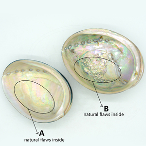 Coquille d'ormeau noire naturelle polie en gros, coquillages artisanaux pour <span class=keywords><strong>la</strong></span> fabrication <span class=keywords><strong>de</strong></span> bijoux, décoration artisanale pour brûler le <span class=keywords><strong>sauge</strong></span> - Product Image 4