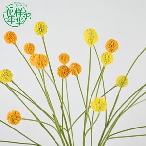 Fleur artificielle en soie de 65 cm à 5 têtes, imitant un fruit de châtaigne et une Craspedia <span class=keywords><strong>Billy</strong></span> Ball, pour la décoration florale de la maison et des vases de mariage - Product Image 3