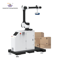 Palettiseur robotisé automatique ST-CP30 30 kg pour la ligne de production de l'empilage de boîtes en carton