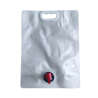 Pochettes souples personnalisées 2L et 3L en PE avec bec verseur, sacs en aluminium à valve gaufrée, recyclables pour l'emballage écologique du vin et du café