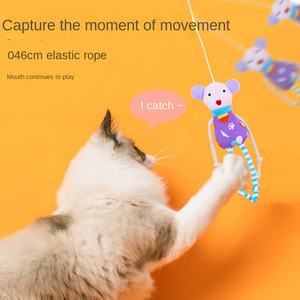 İnteraktif Esneme Oyuncağı Kedi Nanesi İçeren Esnek Tasarım Eller Serbest Kedi Oyuncakları İç Mekan Kedileri İçin Oyun - Product Image 2