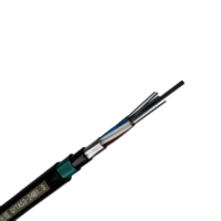 Cinta de acero enterrada directa blindada 12 96 núcleo cable de fibra óptica precio por metro GYTA53 fibra óptica blindada