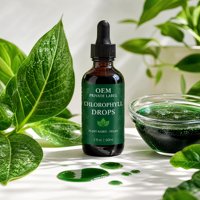 Complément alimentaire en gouttes de chlorophylle liquide, chlorophylle sans sucre avec saveur menthe naturelle, complément alimentaire, usine GMP personnalisée