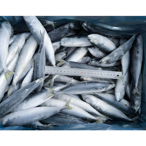Taiseng Seafoods <span class=keywords><strong>Maquereau</strong></span> du Pacifique Congelé Entier en Carton - Product Image 3