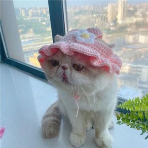 Vente Flash : Accessoires pour Animaux – Chapeau Amusant pour Chien, Costume pour Chien, Bonnets au <span class=keywords><strong>Crochet</strong></span>, Cache-Cou et Cache-Oreilles Tricotés pour Chiens Teddy et Chats - Product Image 4