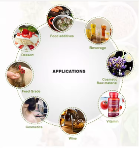 ショウガ根エキス粉末ピュアネイチャーオーガニック良いフレーバーホットセール - Product Image 4