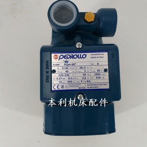 Pompe à eau Pedrollo PQm60 pour machine EDM en fonte grise - Product Image 4