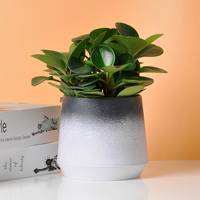 Pot bunga bonsai, Nordic unik warna-warni bulat sukulen pot bunga rumah desktop dekoratif semen pot bunga kaktus pot tanaman kecil lucu