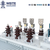 11kV Oi Daldırma Tipi Trafo 250KVA 800KVA Üç Fazlı Bakır Sargılı ONAN Soğutmalı ISO Dış Mekan Özelleştirilmiş Güç İstasyonu