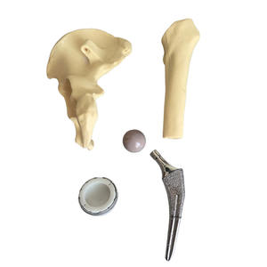 Медицинская наука, модель замены тазобедренного сустава для предхирургической коммуникации, искусственная модель тазобедренного сустава - Product Image 4