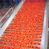 Machine de pâte de tomate automatique à grande vitesse Ligne de production complète Ligne de production de pâte de tomate en conserve
